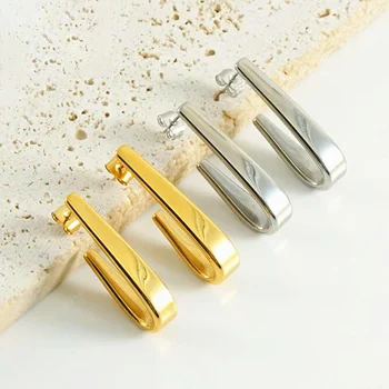  Модные нишевые роскошные серьги-крючки из нержавеющей стали, Титановая сталь, 18-каратное золото, аксессуары для ушей стального цвета